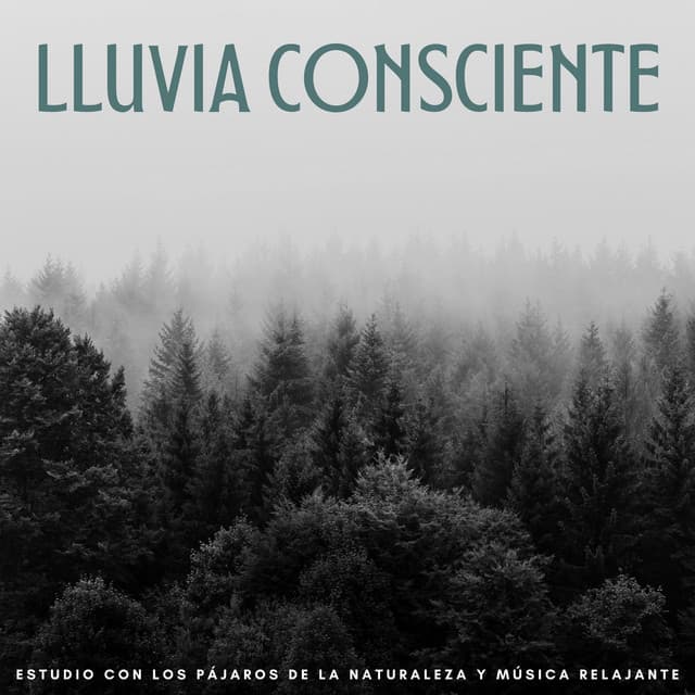 Lluvia Consciente: Estudio Con Los Pájaros De La Naturaleza Y Música Relajante - Danny sonidos de lluvia
