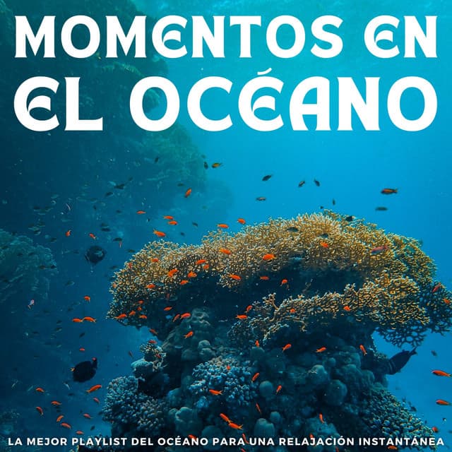 Relajación instantánea