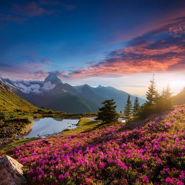 Ritmos De Hip Hop Para Una Relajación Suave - Vibraciones del universo tranquilo