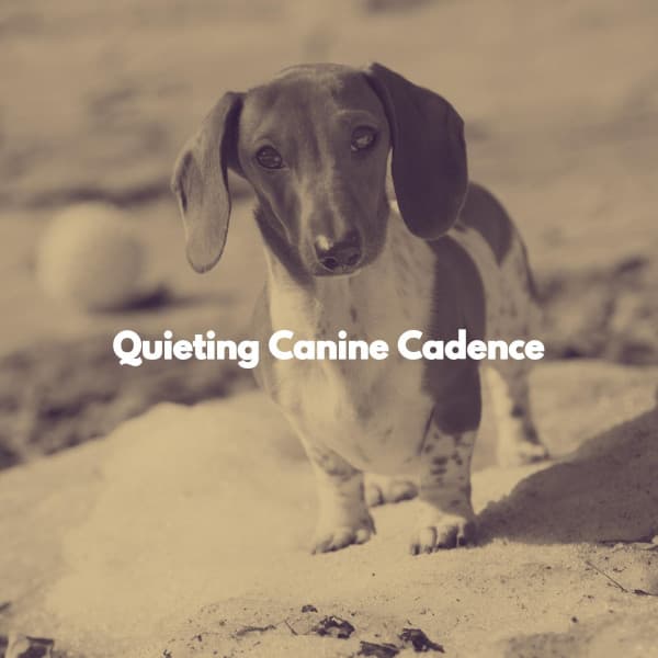 Quieting Canine Cadence - Música de Trabajo Ambiente