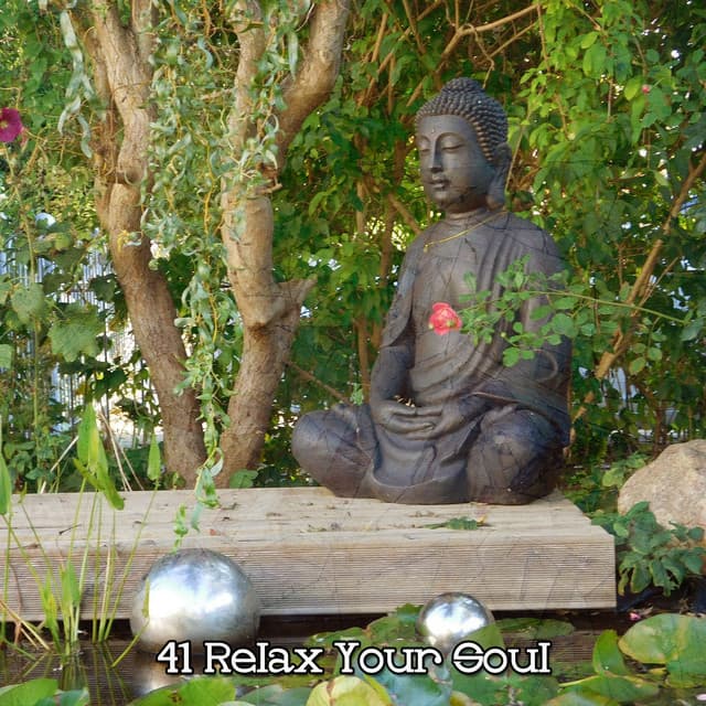 41 Relax Your Soul - Relaxation Study Music