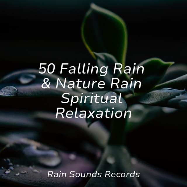 50 Falling Rain & Nature Rain Spiritual Relaxation - PowerThoughts Meditation Club