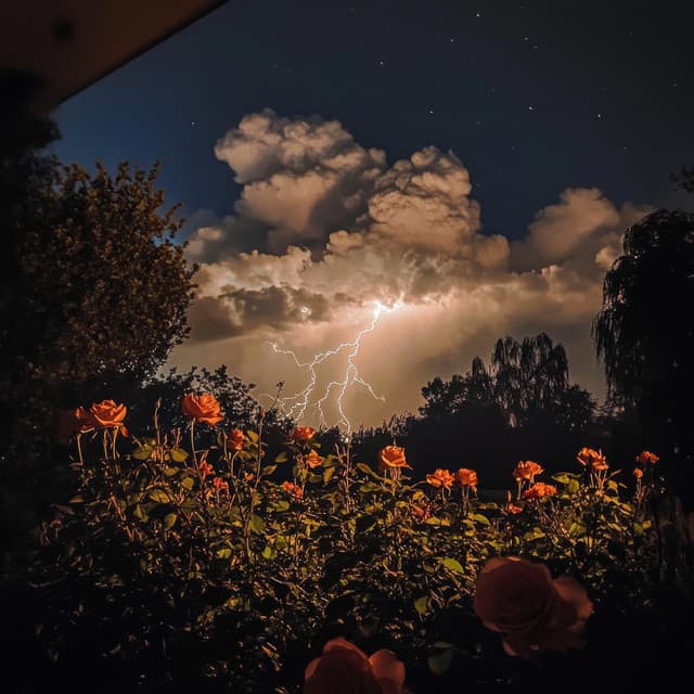 Sounds from the Weather for Unveiling Deeper Understanding and Calmness - Rain is my Life