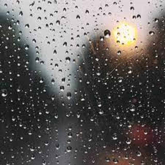 Rain Sounds, Vol 2 - Echoes Of Nature