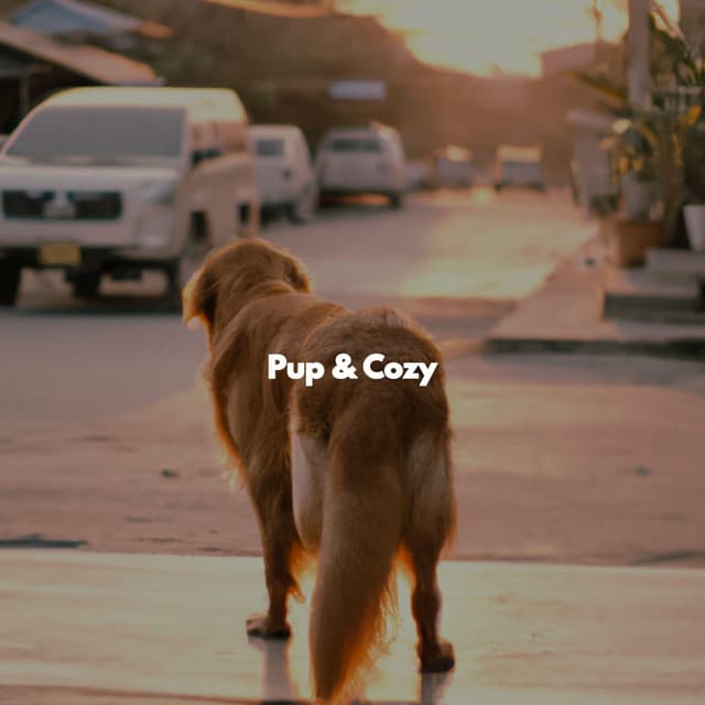 Pup & Cozy - Soft Jazz Lounge
