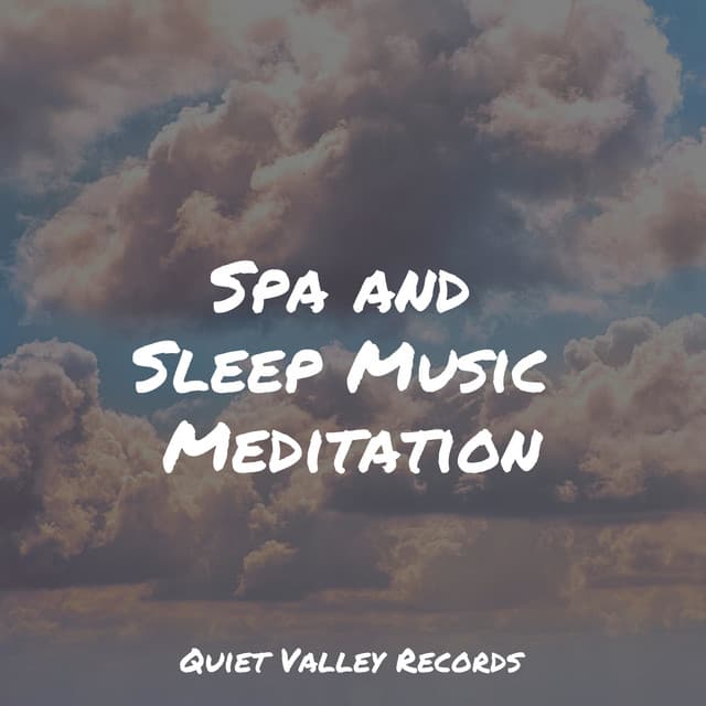 Spa and Sleep Music Meditation - Rain Man Sounds