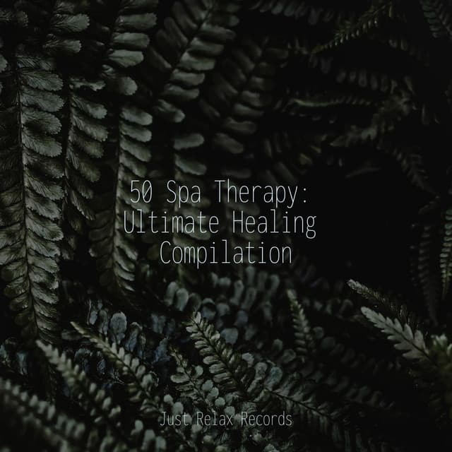 50 Spa Therapy: Ultimate Healing Compilation - Música Relajante para Bebés