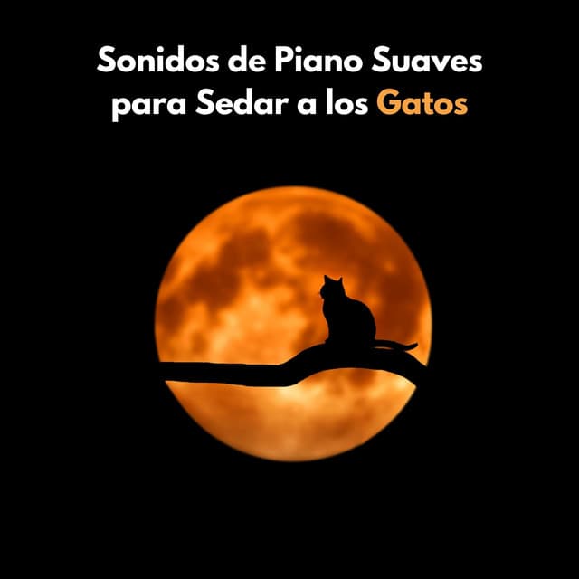 Sonidos De Piano Suaves Para Sedar A Los Gatos - Playlist para Gatos Tranquilos