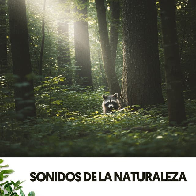 Sonidos de la Naturaleza: Symphony of Nature - Dog Relaxation