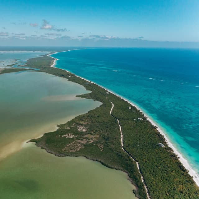 Baby White Noise - Black Noise Sleep