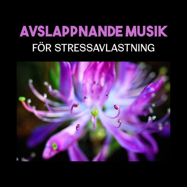 Avslappnande musik för stressavlastning - Lugn Spa Akademi