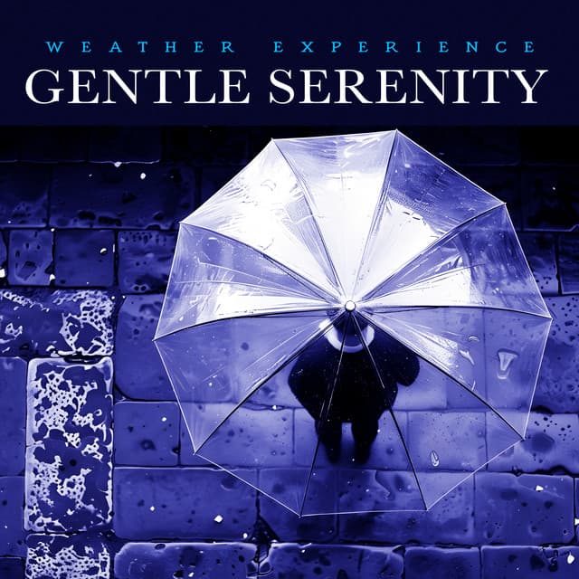 Gentle Serenity - Weather Experience