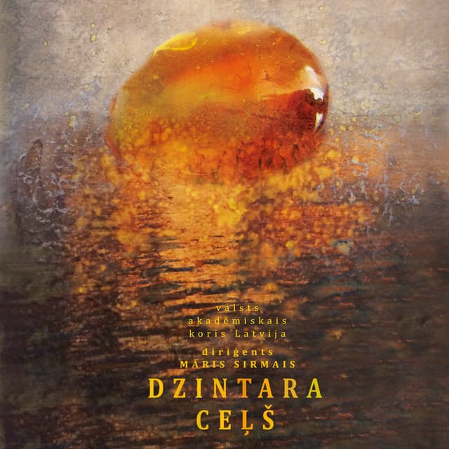 Amber Vein - State Choir Latvija