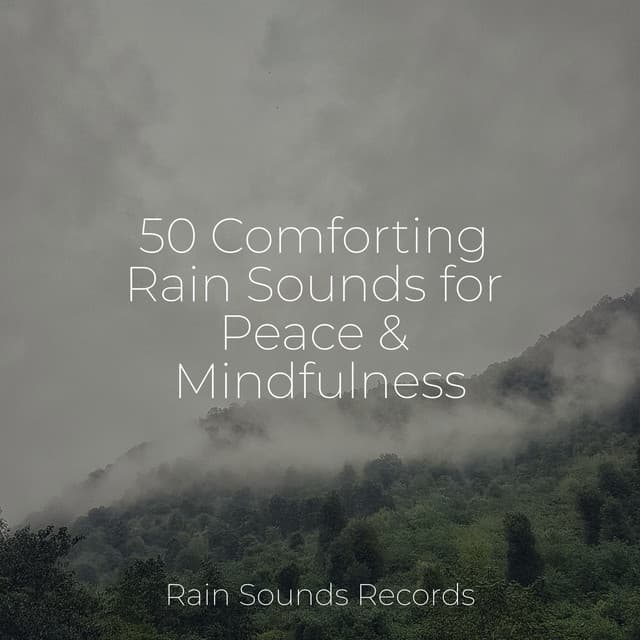 50 Comforting Rain Sounds for Peace & Mindfulness - Ocean Sounds