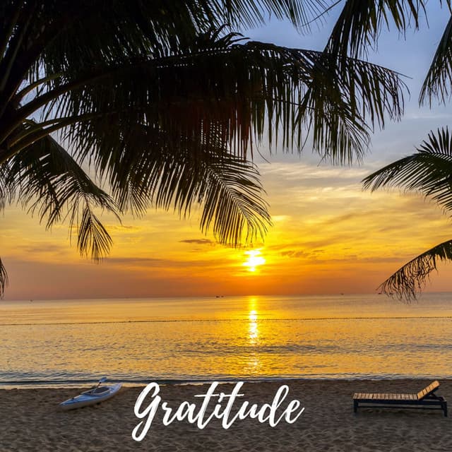 Gratitude - Masala Roo