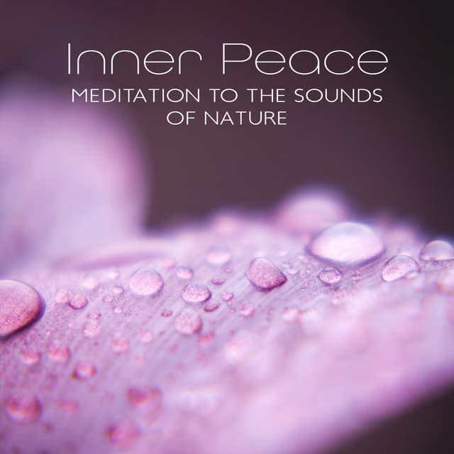 Inner Peace: Meditation to the Sounds of Nature, Mind Relaxation Music, Musical Therapy, Night Rain, Nature Escapes, Peaceful Retreat - Anandra