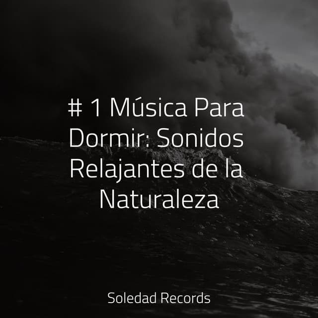 # 1 Música Para Dormir: Sonidos Relajantes de la Naturaleza - Musica para Dormir 101