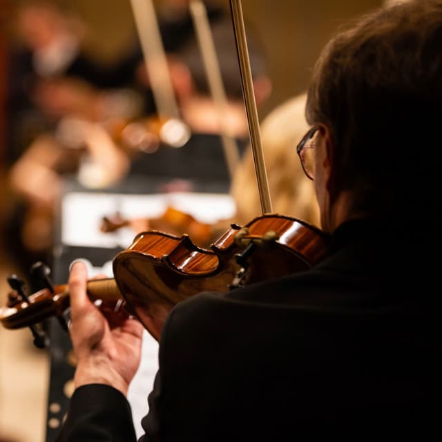 Tranquil Orchestra Symphony: Peaceful Musical Harmony - Charles Anderson