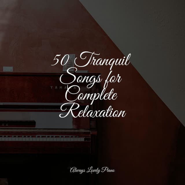 Calming Ambient Melodies | Quiet Listening - Soulful Piano Group