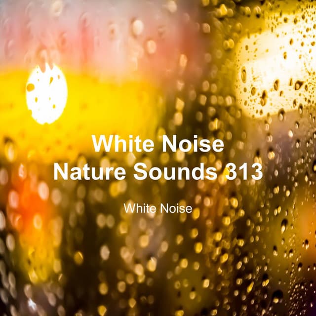 White Noise 313 - White Noise