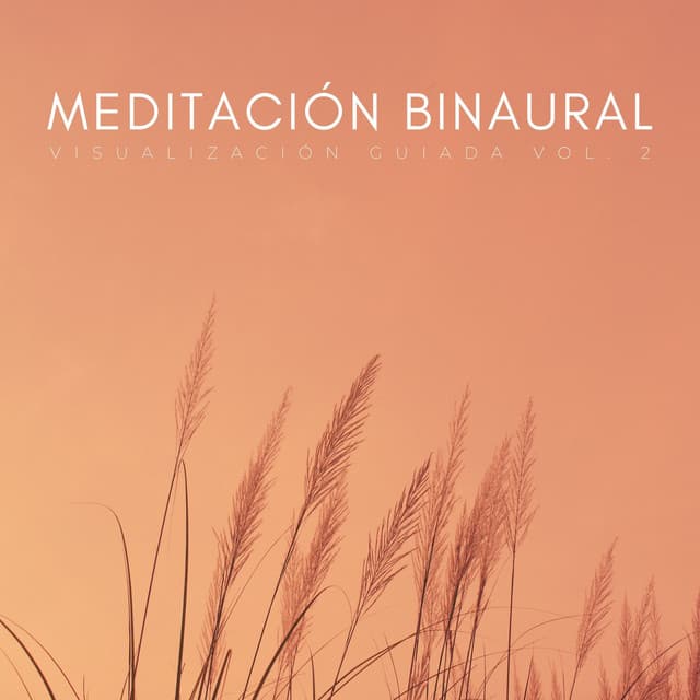 Meditación Binaural: Visualización Guiada Vol. 2 - Latidos binaurales Soledad