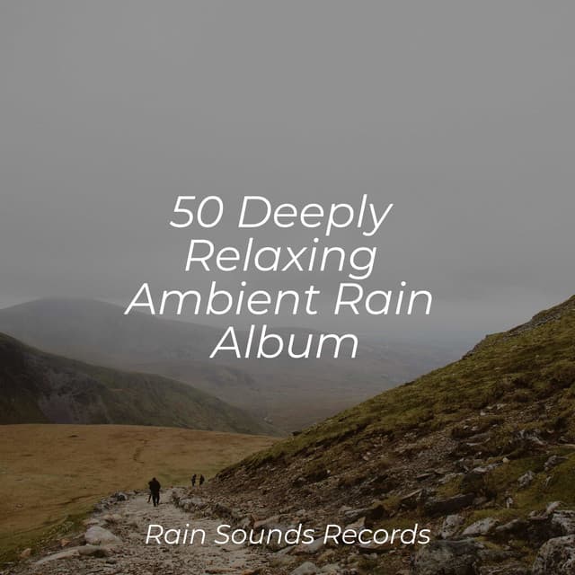 50 Deeply Relaxing Ambient Rain Album - Sounds of Nature White Noise for Mindfulness, Meditation and Relaxation