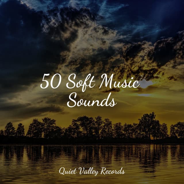 50 Soft Music Sounds - Calming Rainforest Sounds