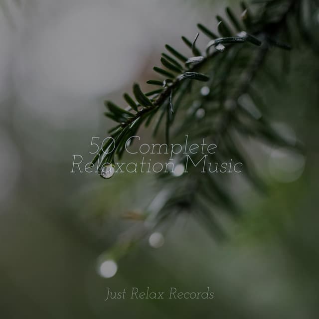 50 Complete Relaxation Music - Sonidos De Lluvia y Tormentas