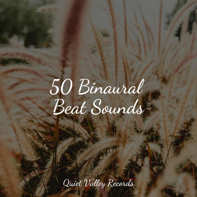 50 Binaural Beat Sounds - Natureza Musica Bem-Estar Academia