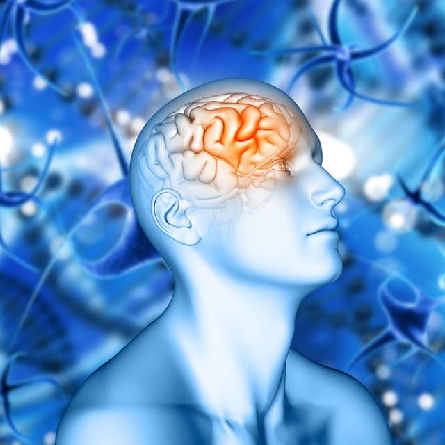 Prefrontal Cortex Meditation - Deep Theta Binaural Beats