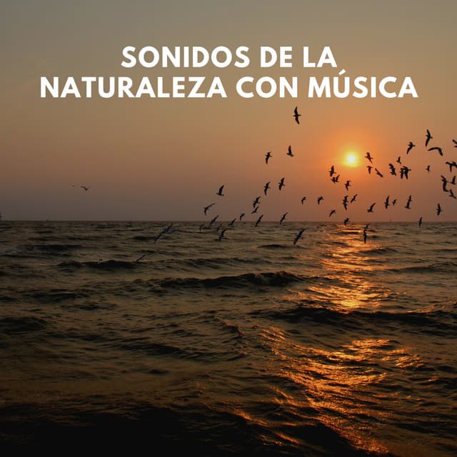 Sonidos de la Naturaleza con Música - Sonidos De Pajaros