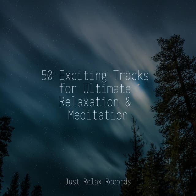 50 Exciting Tracks for Ultimate Relaxation & Meditation - Massage Therapy Music