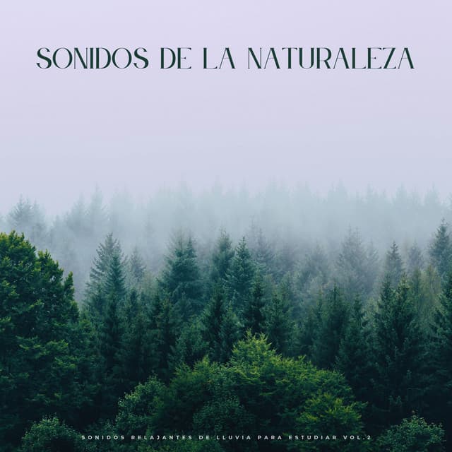 Sonidos De La Naturaleza: Sonidos Relajantes De Lluvia Para Estudiar Vol.2 - Estudio de sonidos de lluvia