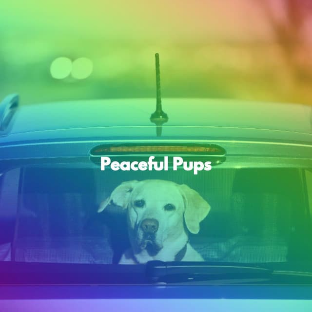 Peaceful Pups - Puppy Sleeping Sounds