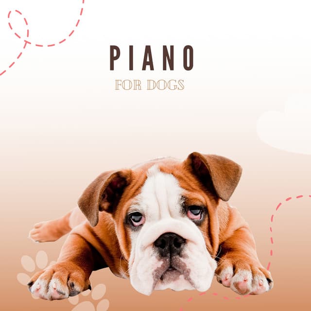 Piano For Dogs - Pet Music Therapy