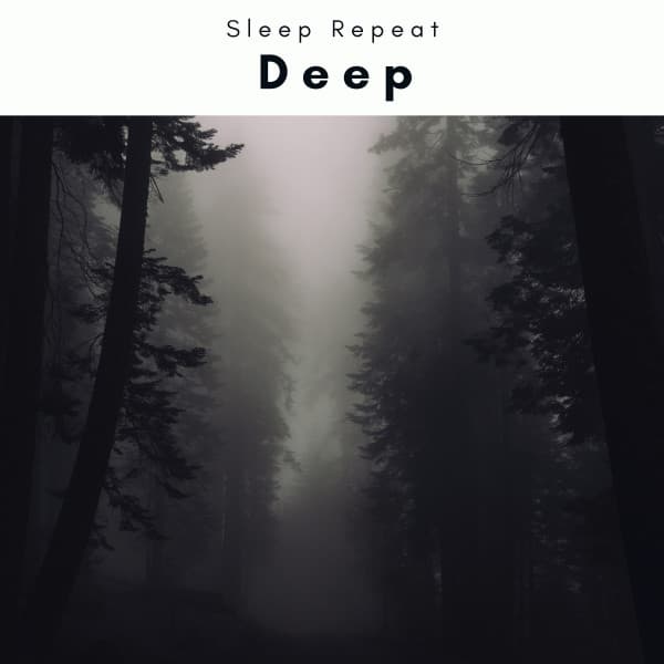 1 Deep - Sleep Repeat