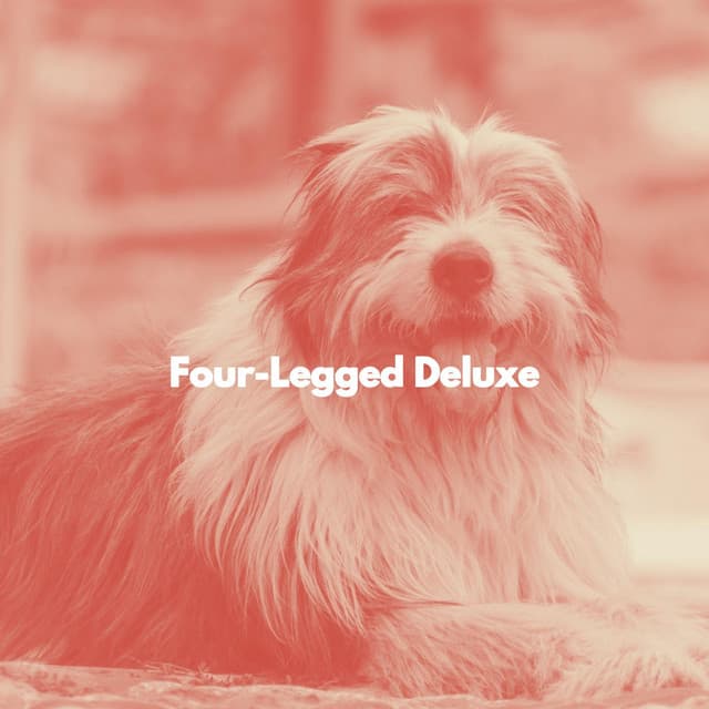 Four-Legged Deluxe - Coffee House Smooth Jazz Playlist