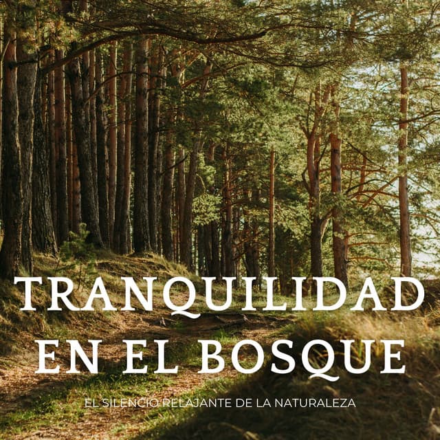 Tranquilidad En El Bosque: El Silencio Relajante De La Naturaleza - Sonidos de la jungla