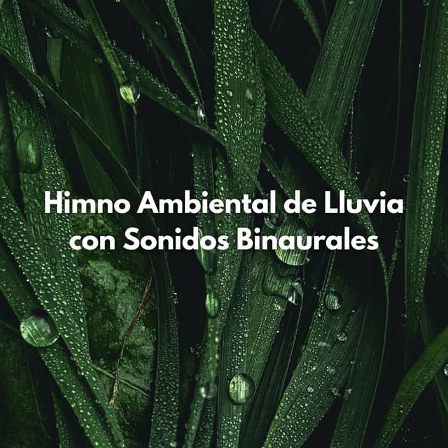 Himno Ambiental De Lluvia Con Sonidos Binaurales - Frecuencias Binaurales