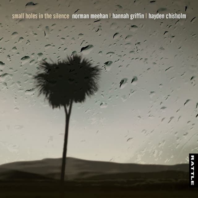 Small Holes in the Silence - Norman Meehan