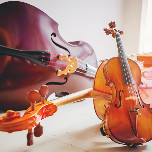 Baby Sleep Melodies: Calming Orchestra - Charles Anderson