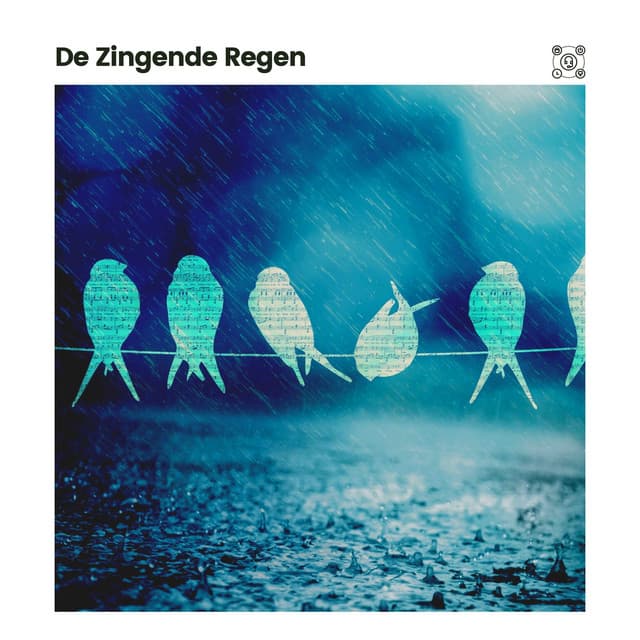 De Zingende Regen - Geluiden van de Regen