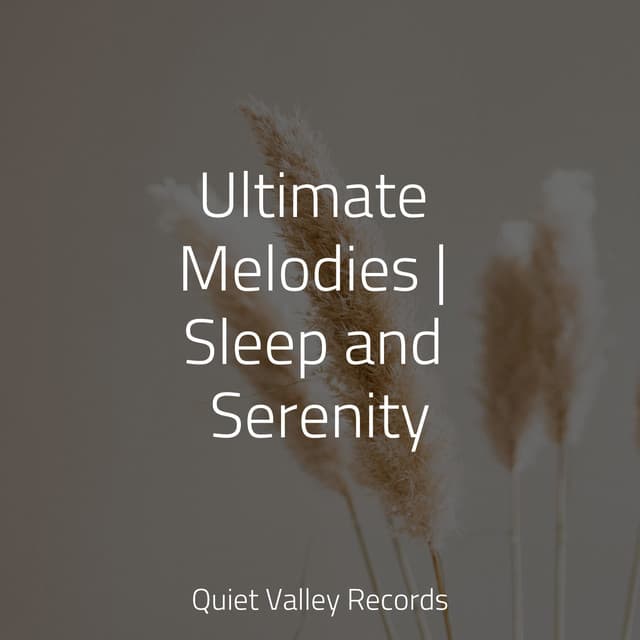Ultimate Melodies | Sleep and Serenity - Calm Down