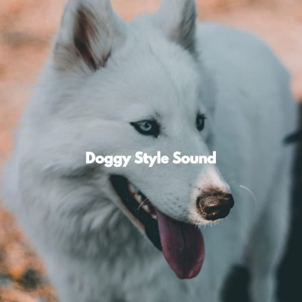 Doggy Style Sound - Musica Relajante para Perros Momentos