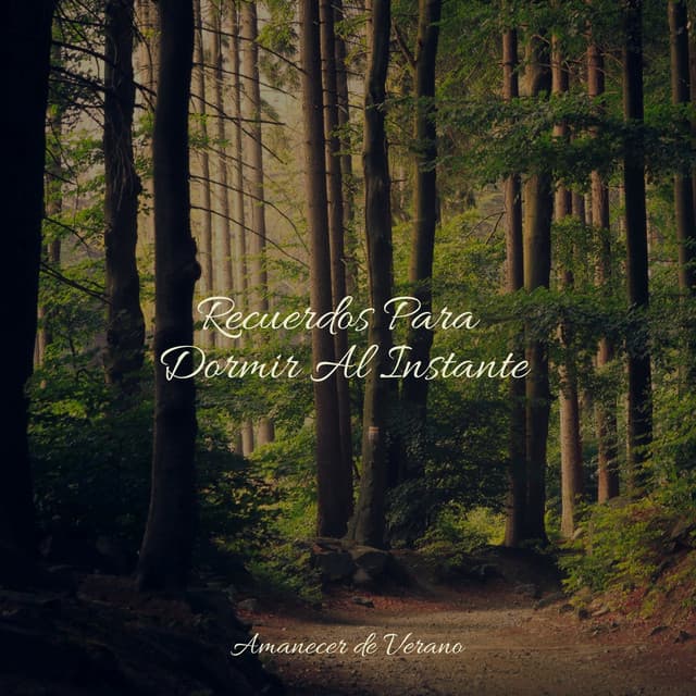 Recuerdos Para Dormir Al Instante - Meditación Guiada