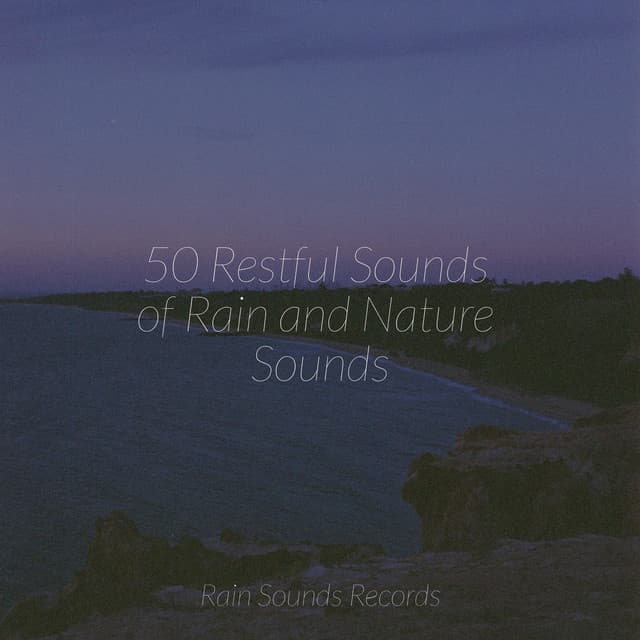 50 Restful Sounds of Rain and Nature Sounds - Relaxing Music