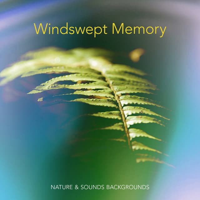 Windswept Memory - Nature & Sounds Backgrounds