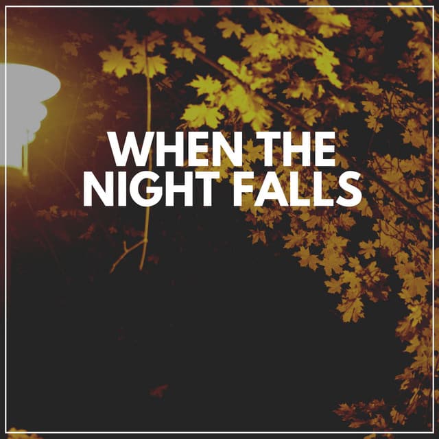 When the Night Falls - Sleeping Baby