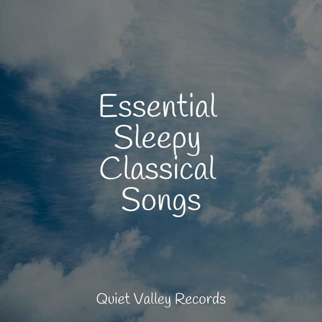 Essential Sleepy Classical Songs - Rain Spa
