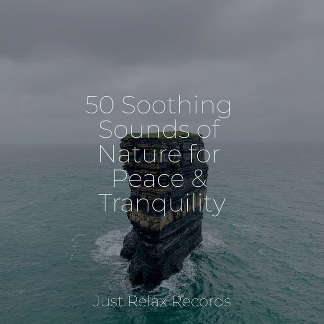 50 Soothing Sounds of Nature for Peace & Tranquility - Musica Reiki
